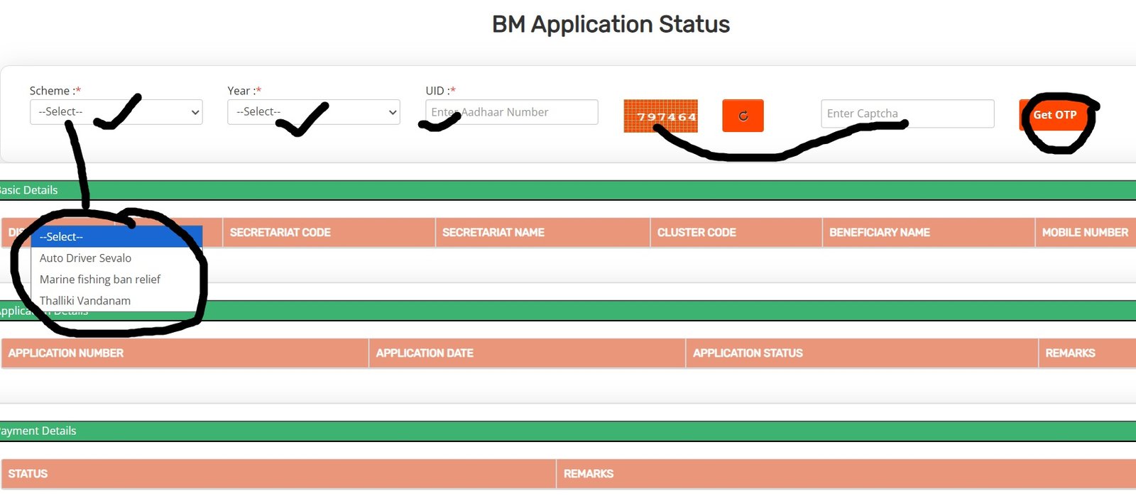 NBM Application Status