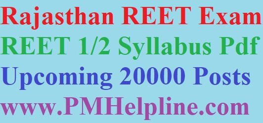 REET Exam Syllabus 2023 in Hindi